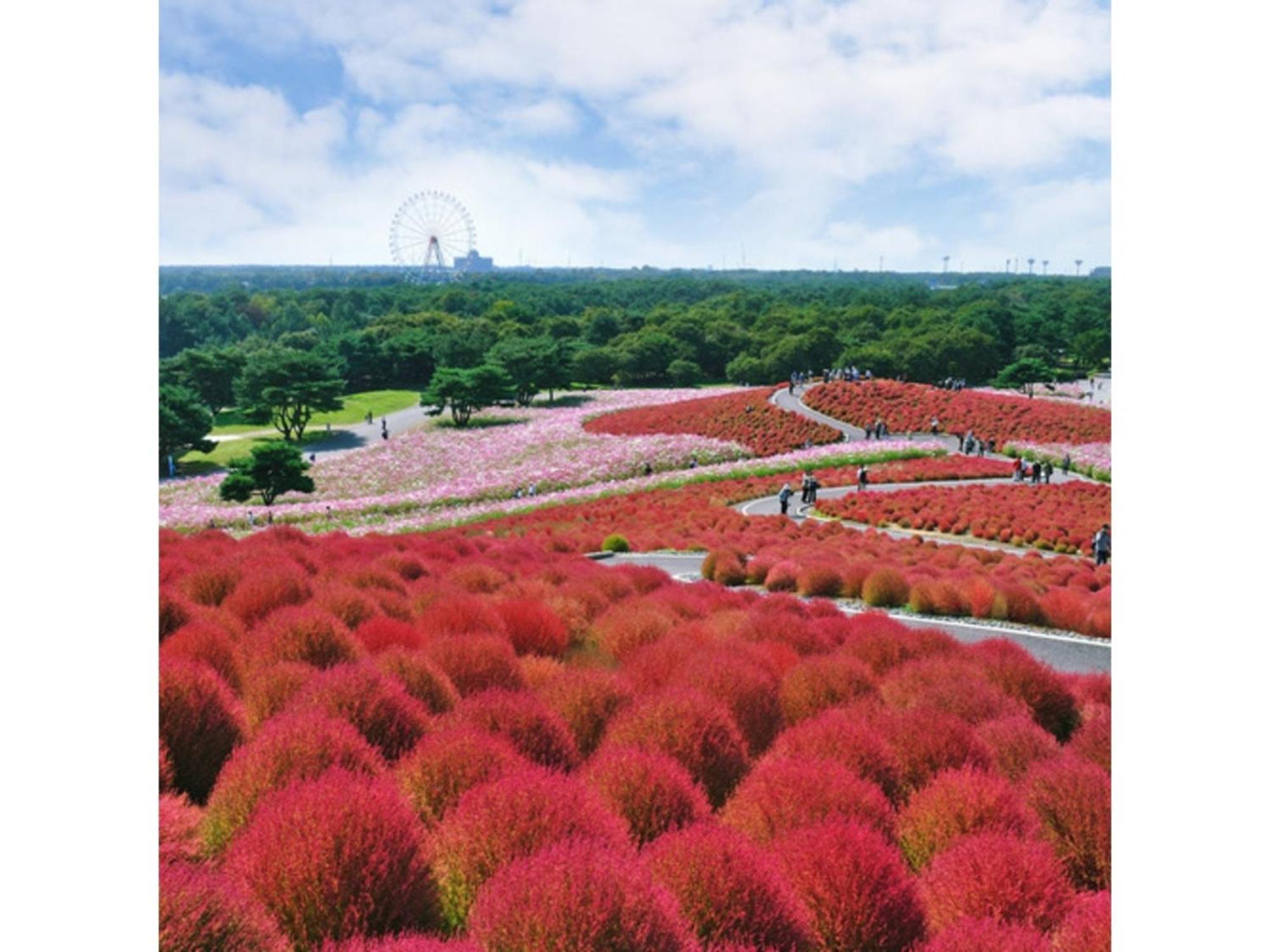 Hotel Crystal Palace - Vacation Stay 61190V Hitachinaka Buitenkant foto